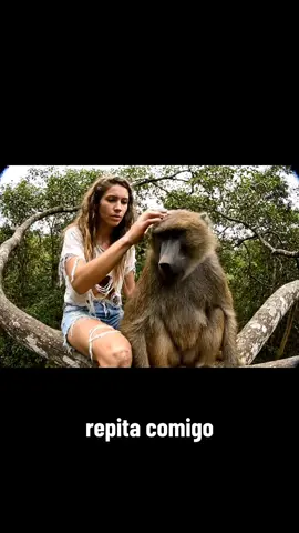o ninho da mafagafa! #ia #vlogs #babu #babuino #veo3 
