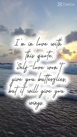 #giveup #nomorechasing #Genxrising #Timeformetofly 