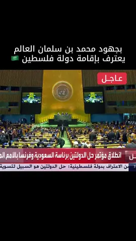 #دولة_فلسطين #محمد_بن_سلمان #السعودية_العظمى #الجمعية_العامة_للأمم_المتحدة 