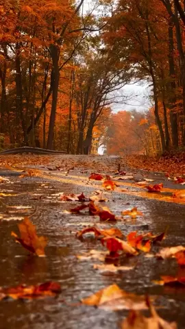 bienvenido el otoño #Otoño #paisajes_hermosos #lugaresincreibles 