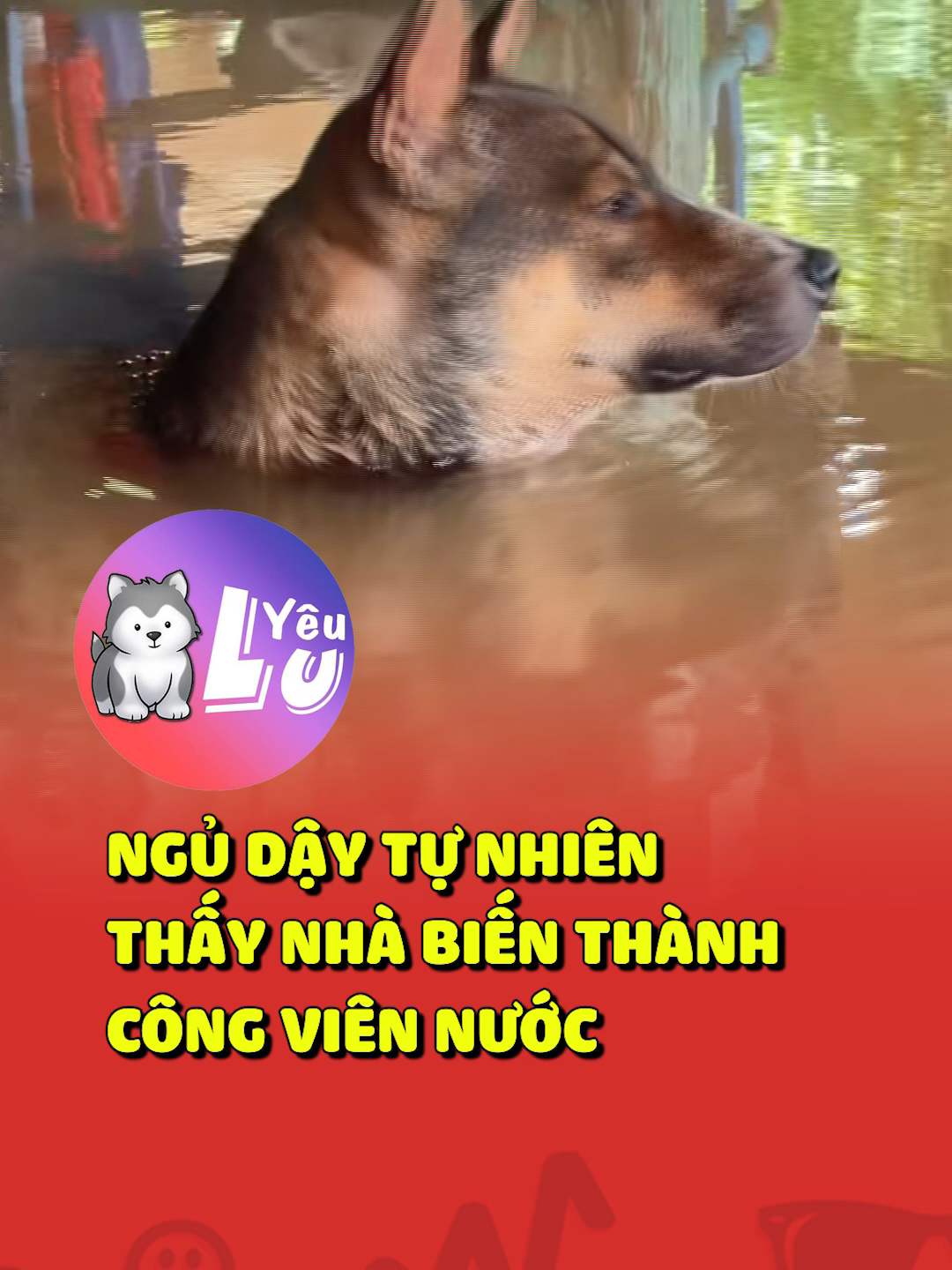 Ngủ dậy tự nhiên thấy nhà biến thành công viên nước 😂 #shorts #yeulu