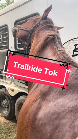 When that post ride itch just hits ✨the spot✨  #horsetok #cowgirl #horsesoftiktok #countrygirl #animalfunny 