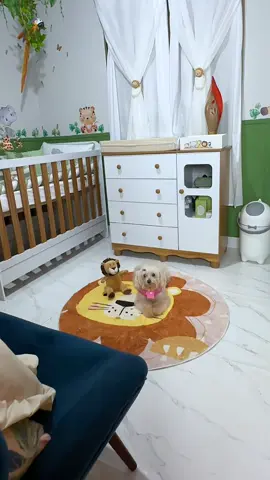 Tudo pronto! Só a sua espera filho!🩵 #decoracaosafari  #reileao #decoracaoquartodebebe  #fyp 