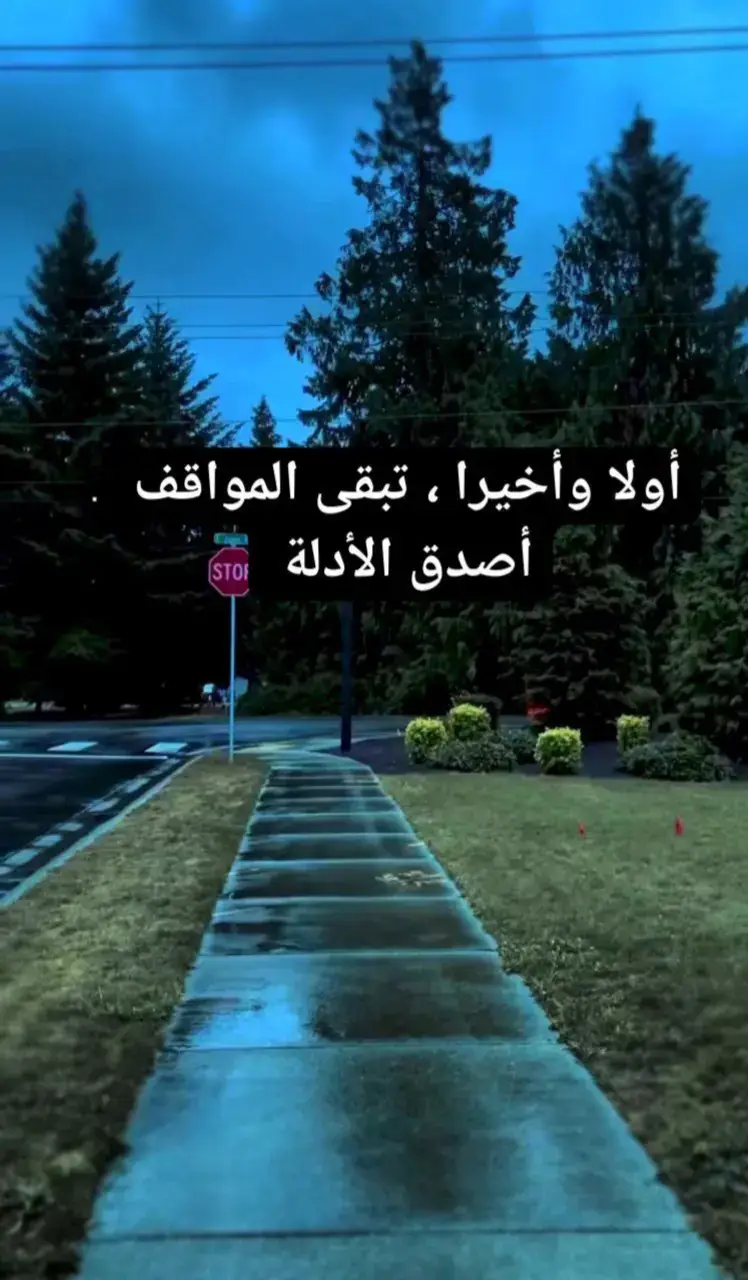 #عبارات #مقولاتي #ستورياتي #اقتباساتي📜 