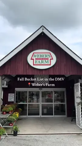 From pumpkin patches and hayrides to cider donuts and cozy autumn vibes, this is your perfect fall weekend spot in the DMV! Don’t miss out on all the family fun, delicious treats, and Insta-worthy moments. 🌽🍎 #WeberFarm #FallVibes #DMVEvents #DMVThingsToDo #FallInDMV #MarylandFall #DCFall  #PumpkinPatch #CiderDonuts #Hayride #FallActivities  #FallBucketList #ThingsToDoThisWeekend 