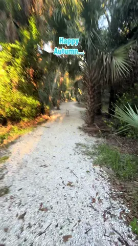 🍂… #autumn #fall #fallinflorida #hike #lifewithroggie 