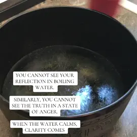 You can’t see your reflection in boiling water… and you can’t see truth in anger. When you calm the storm inside, clarity always comes.  #PauseAndBreathe #HealingJourney #EmotionalHealing #BeliefCode #BodyCode       