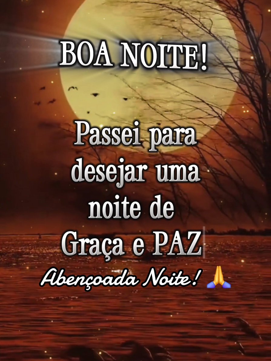 Boa Noite! 🌙 ✨️ #Boanoite #graçaepaz #Bençaos #anjosdedeus #abencoadanoite 