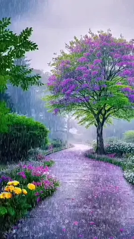 🌩️🌲🌺🌺🌨️