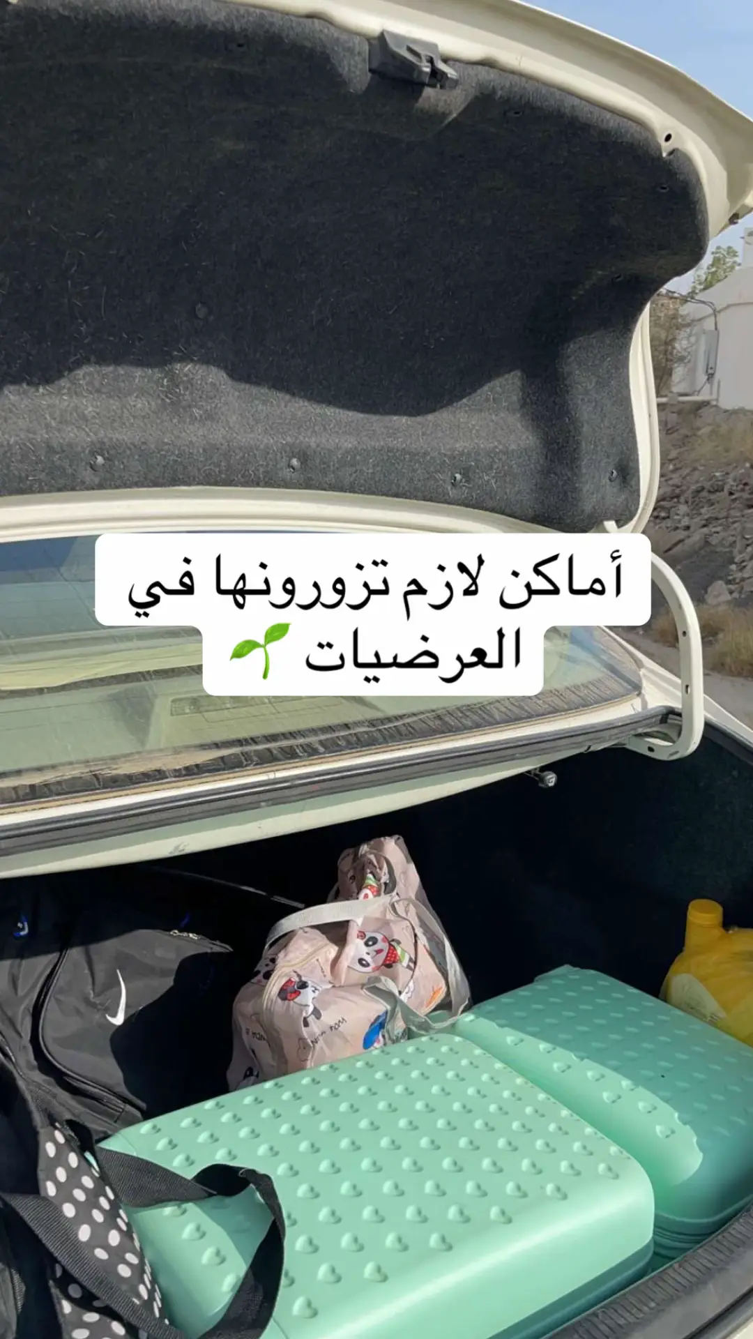 #العرضيات #نمره #شمران #ثريبان #توزيعات_اليوم_الوطني95 