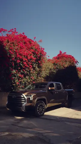 Tag the best school below! Homecoming Fit: secured ✅ Alumni status: confirmed ✅ #Tundra #LetsGoPlaces #HomecomingSzn