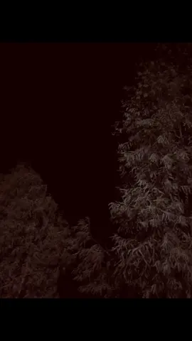 #عباراتكم💔💔؟      #شمسين_محمدعبدالجبار #النورات_ناحيه_القياره_جنوب_الموصل #امير_گيارة #امير_گياره🖤✨ 