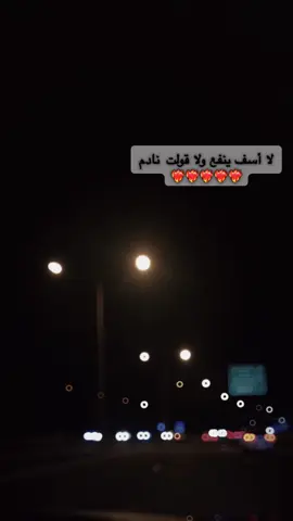 🌹🌹🌹 #شفيق_كبها #اكسبلورexplore 