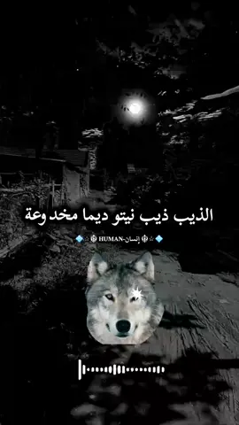 #تصميم_فيديوهات🎶🎤🎬 #شاشه_سوداء  #الجزائر_تونس_المغرب 