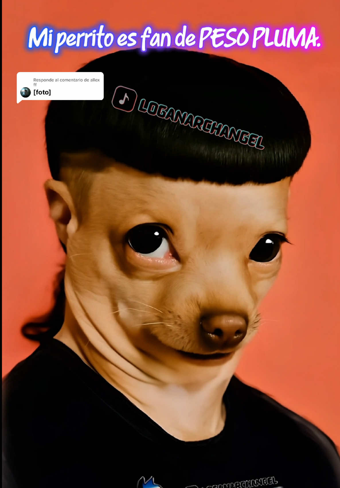 Respuesta a @allex ff el peso pluma chihuahua si existe y canta a capela y todo #perrito #perritostiktokers #pesopluma #humortiktok #chihuahua 