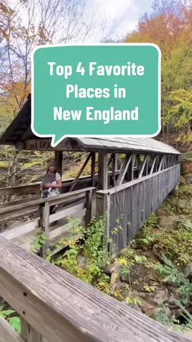 Loads of places could make the list, 😍 but these are my personal favorite places in New England after our 3 week road trip through the area! In no particular order: •Finger Lakes, New York •Stowe, Vermont  •Bar Harbor & Acadia Natl Park, Maine •Franconia Notch State Park, New Hampshire  #newengland #fingerlakes #stowevermont #barharbor #acadianationalpark  