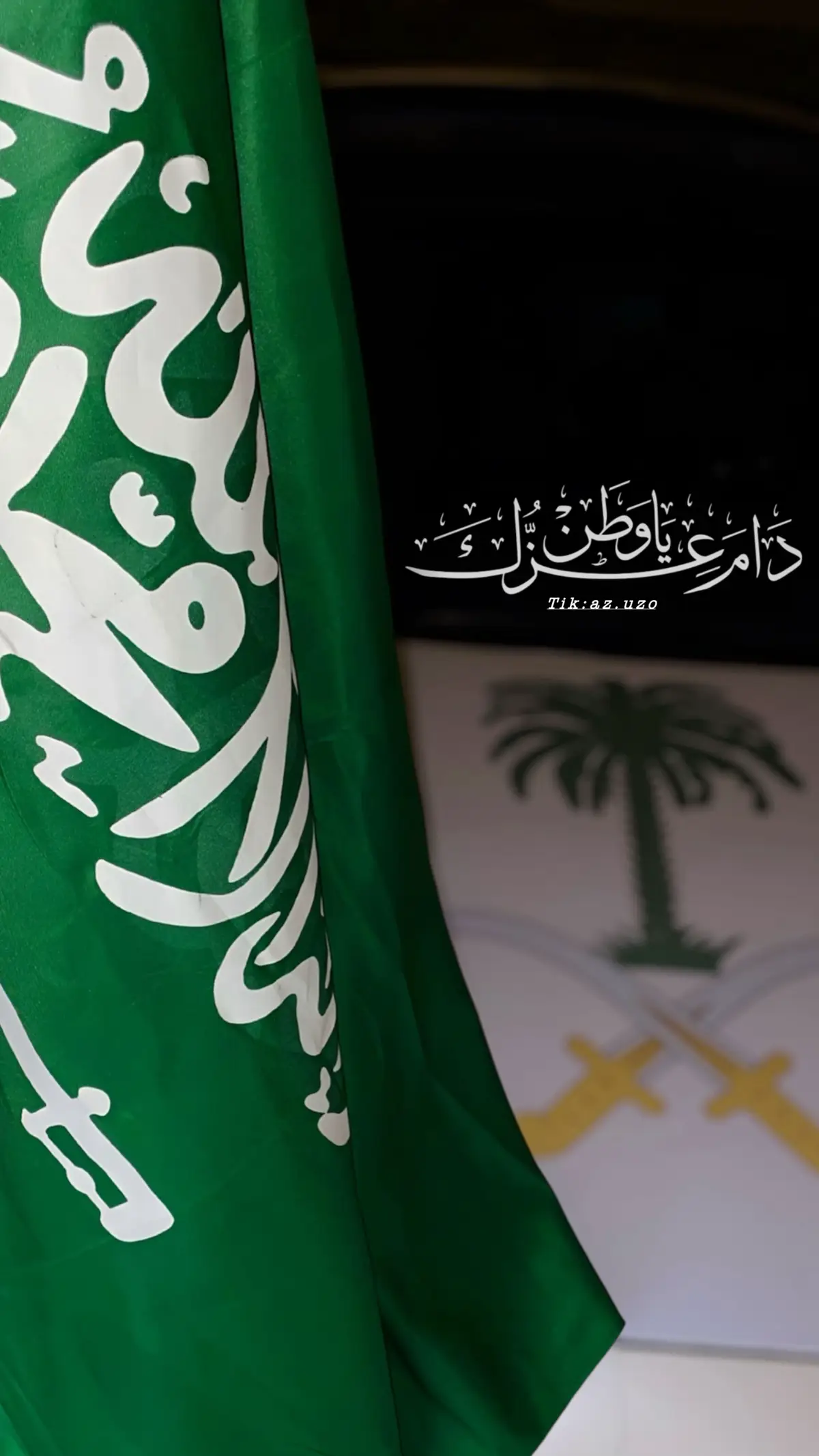 #🤍 #السعوديه #93saudinationalday 