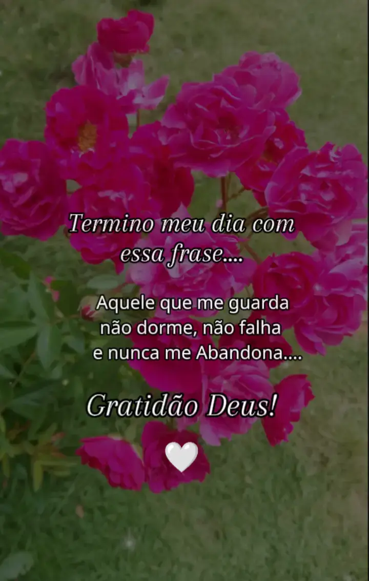 #boanoite #deusefiel #gratidao #abençoadanoiteparatodos🙌🙏🌻🌷 