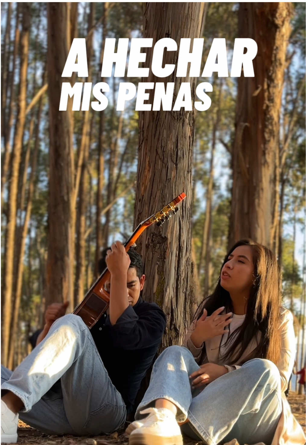 🚨🅒🅞🅥🅔🅡🚨 𝗖𝗔𝗡𝗖𝗜𝗢́𝗡: A los bosques  𝗔𝗨𝗧𝗢𝗥: Alberto Ruiz Lavandez  𝘾𝙤𝙣𝙩𝙧𝙖𝙩𝙤𝙨: ☎️993725440 #fyp #paratiiiiiiiiiiiiiiiiiiiiiiiiiiiiiii #bosque #viral #video 