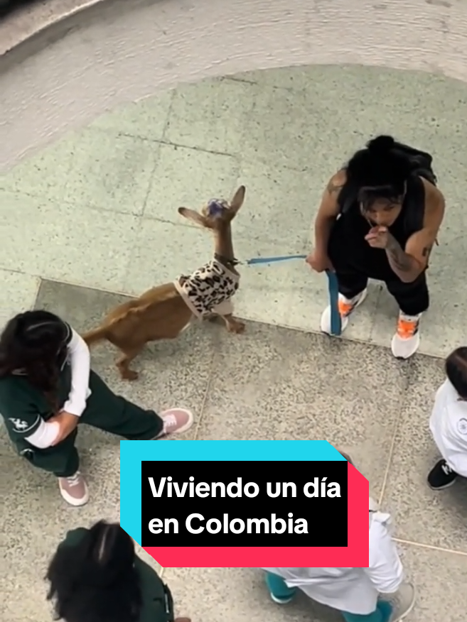 Vivencias del colombiano #humor #Meme #fyp #Viral #colombianadas 