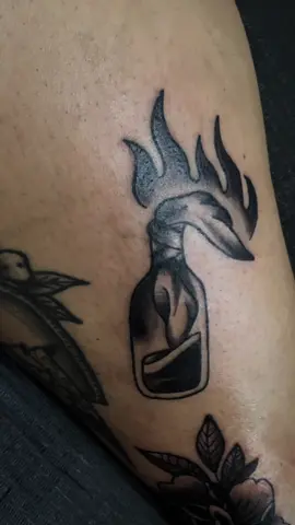 molotov🔥