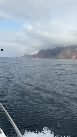 @Sea Cruiser Al Hoceima #location #bateau #jetski #rif #alhoceima #tanger #tetouan #visit #nederland #belgium #nador #Summer #maroc #arif #شعب_الصيني_ماله_حل😂😂 