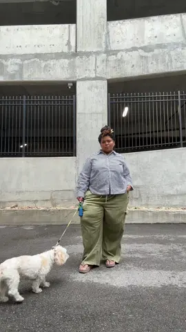 actually wearing “real” clothes to walk my pup  @Anthropologie @maevebyanthro @Lane Bryant @Crocs 