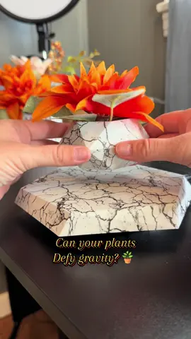 Hands down the coolest Christmas gift 🎁 A levitating plant pot that floats and spins on your desk—perfect for the office or home. #FloatingPlanter #OfficeDeskGift #HolidayGiftIdeas #UniqueHomeDecor #LevitatingMagic 