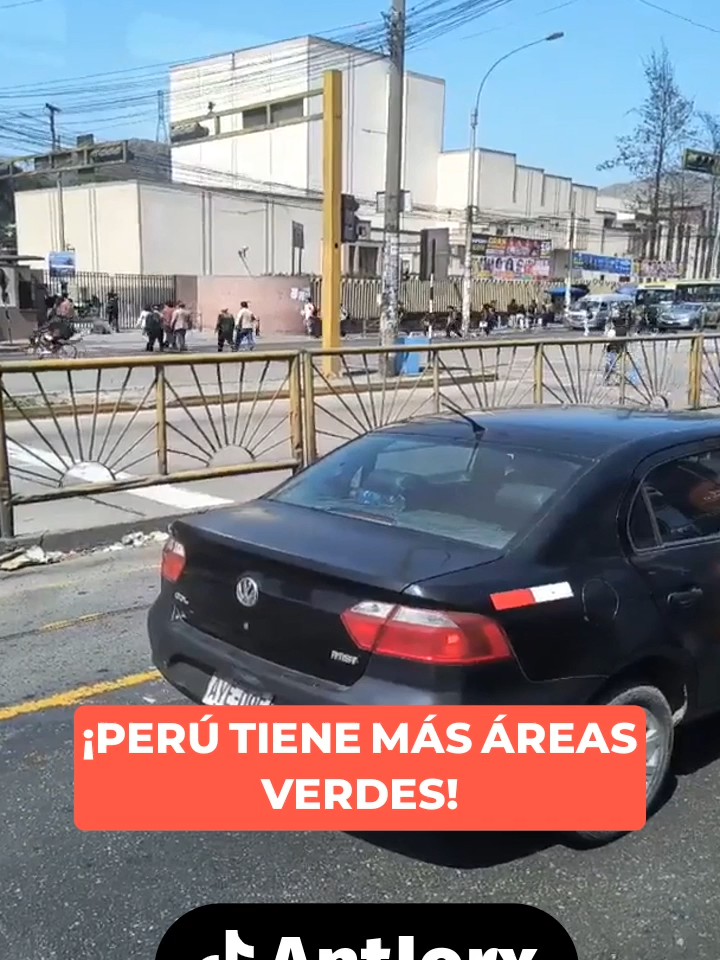 Peru es el segundo país con mas áreas verdes en Sudamerica, asi que ese meme de Perukistan es solo eso un meme #Peru #arboles #perukistan #meme