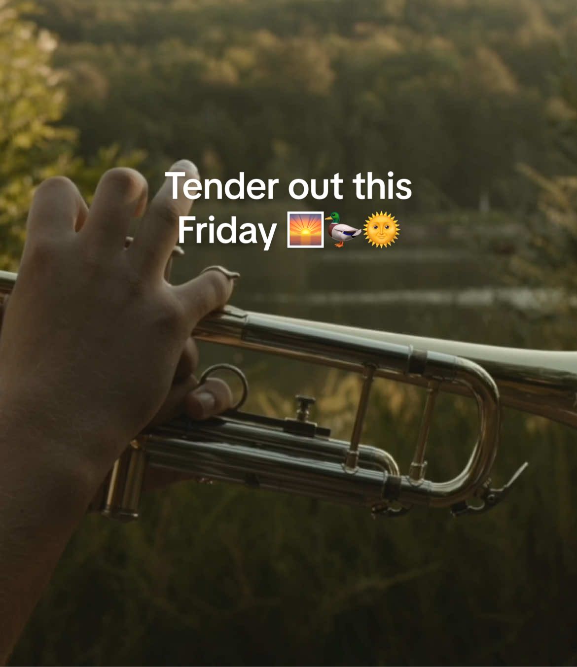 this Friday, the final single from my album, TENDER will be yours 🌅🦆🌞 #newmusic #acousticpop #acoustic #freshfinds #adampaddock 