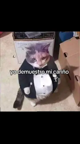 quien se siente identificado en comentarios #LIVEIncentiveProgram #LIVEwithlowfollowers #PaidPartnership 