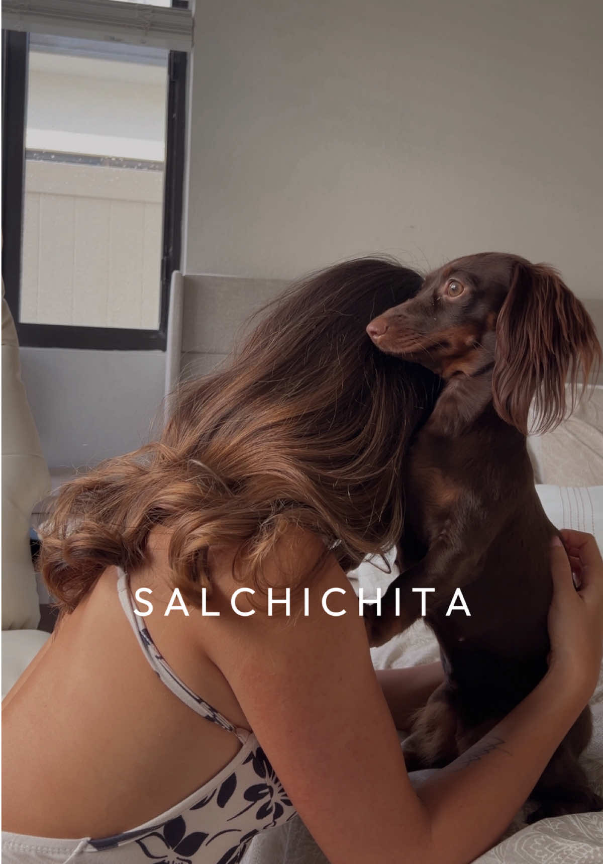 Todos los días la veo y me pregunto, qué sería mi vida sin ella? 🥹❤️‍🩹🌭 te amo mi salchichita ✨ #perrosalchicha #perrostiktok #dachshund 