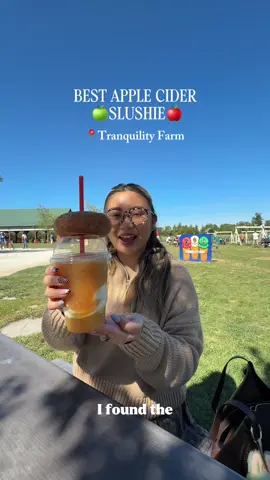 I consider myself a slushy connoisseur When I tell you this is the best  🍎 Apple Cider SLUSHIE I’ve had I mean it!  ✨Give it a try yourself and let me know!!  🍏they also have apple picking  🍁 and a fall festival on weekends  (I literally just went for the drink and donut lol)  📍Tranquility Farm - Andover, NJ ##njfall##appleciderdonuts##njfallactivities##njfoodie##njfood