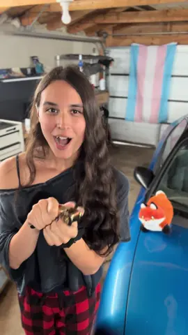 A lot of you don’t have cars so I made this one for you ;3  Re-upload because the first one was sent to the void 💀  #trans #mtf #transfem #clickertraining #projectcar 