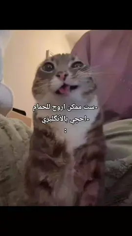 #ف #فطست #لايك_متابعه_اكسبلور ###عجبك الفيديو دز لايك######😭😭😭 