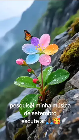 Minha música de setembro de 2025 🌻🙏🏾 #trend #musica #musicadesetembro #viraltiktok #greenscreen 