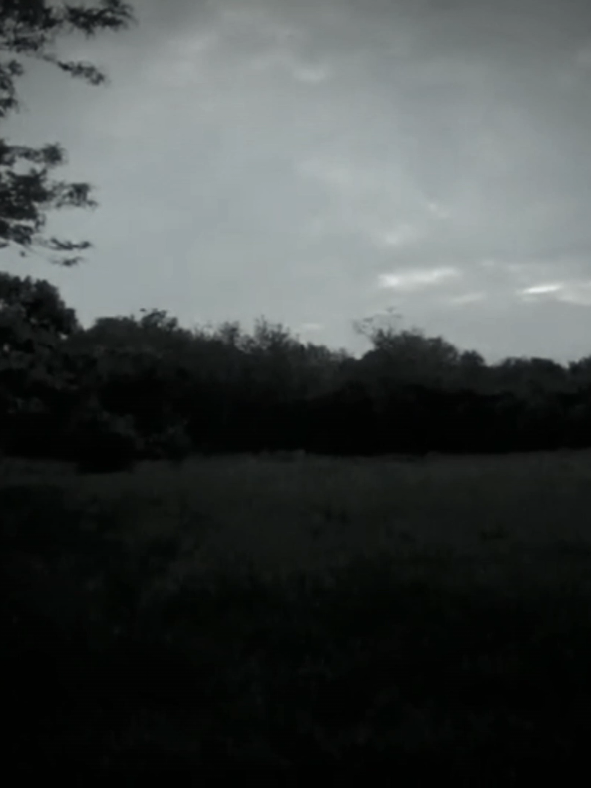 Why does it hurt so much?#dsbm #depresive #blackmetalmusic 