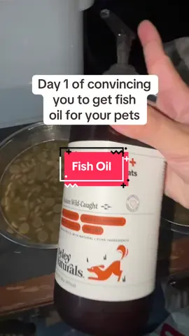 Helps digestion, minimizes shedding, promotes healthy joints in again… THIS IS THE STUFF!!  #fishoil #doghealth #dogsoftiktok #influencer #PetsOfTikTok 