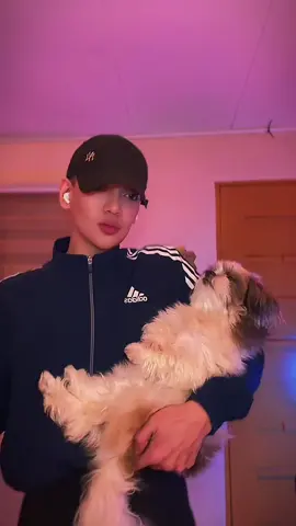 Dancing with my baby 💕 #furbaby #dog #fyp #dance #fypシ゚viral🖤tiktok 
