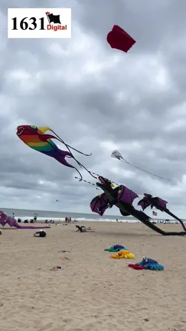 #kites #beachvibes #alien #maryland #fun  Ocean City kites
