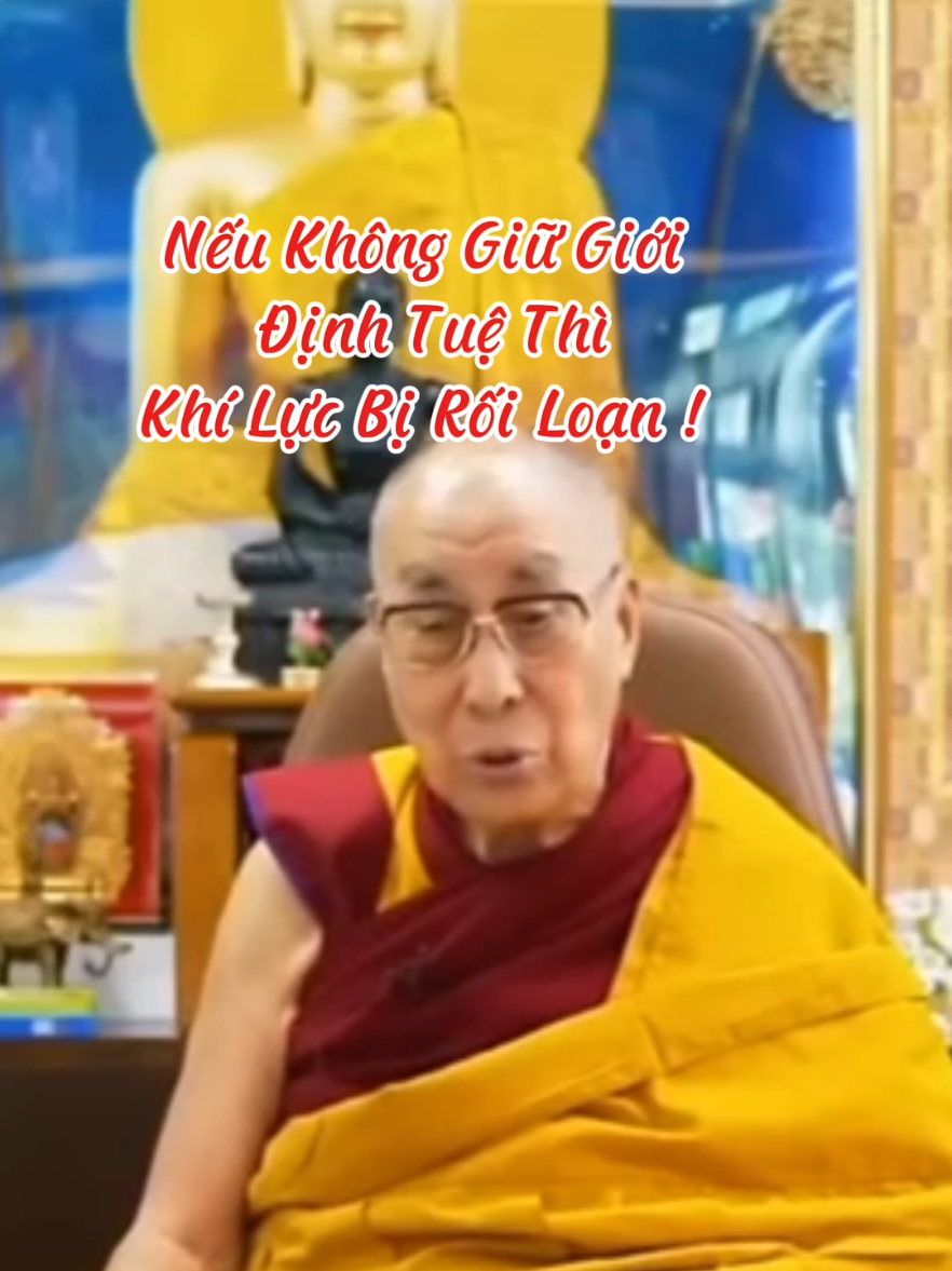 Nếu không giữ giới định tuệ thì khí lực bị lỗi loạn #loiPhatday #DatLaiLatMa #thongdiepcuocsong #nhungcaunoihay #xuhuongtiktok 