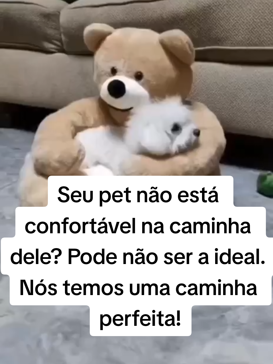 Caminha de Pets Caminha de Pet Ursinho Cabeceira Soft Pelúcia Antialérgico Redonda Onde encontrar o l1nk?   🔗Na nossa 