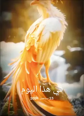 #في هذا اليوم #يوم #جديد 
