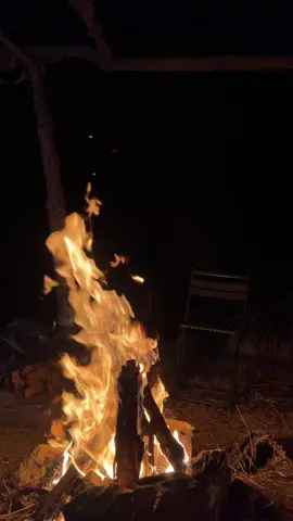 #capcut #fyp #🐦‍⬛ 