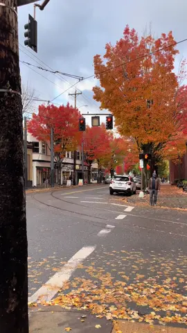 your sign to go visit portland in the fall at least once but since it’s the first official day of fall it felt right to make a post about a city that i miss. still a lot of beautiful memories kept in my heart🧡🍂🍁 #fall #portland 