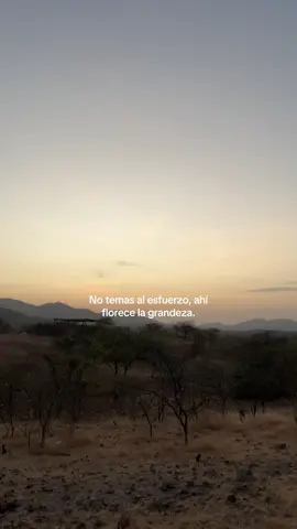 DALE CON TODO #paratii #motivation 