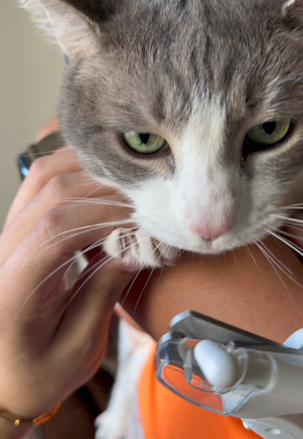 Cats need to have Spa Days too!! #fallnails #fall #tsitp #spookyseason #dealforyoudays 