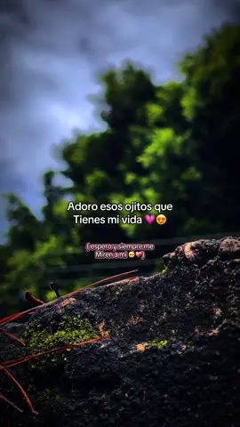 Mi Amor 💕✨🥺😍#frasesdeamor❤️ #paradedicar♡💕💖 #videosdeamor #amoradistancia🥺 #dedicar💕 #amor💗 #paratii #felicidad 