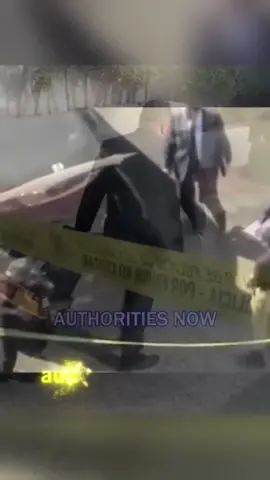 #stitch with @Chinese rose 