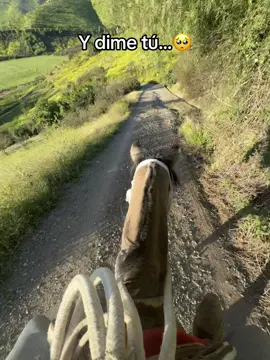 Será será 🫩                                  #caballoschilenos #huasochileno #vidapalindañol🏞️🐎 #fyp #paratii 